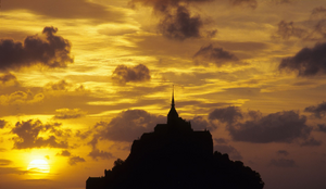 Traitement punaises de lit Saint-Michel-sur-Orge